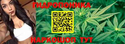 PSILOCYBIN Комсомольск-на-Амуре