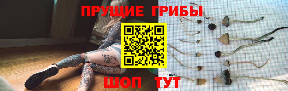 Галлюциногенные грибы GOLDEN TEACHER Кашира