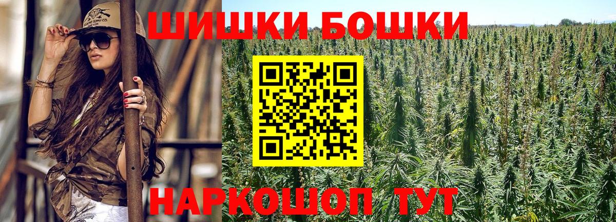 Канабис сатива Кашира
